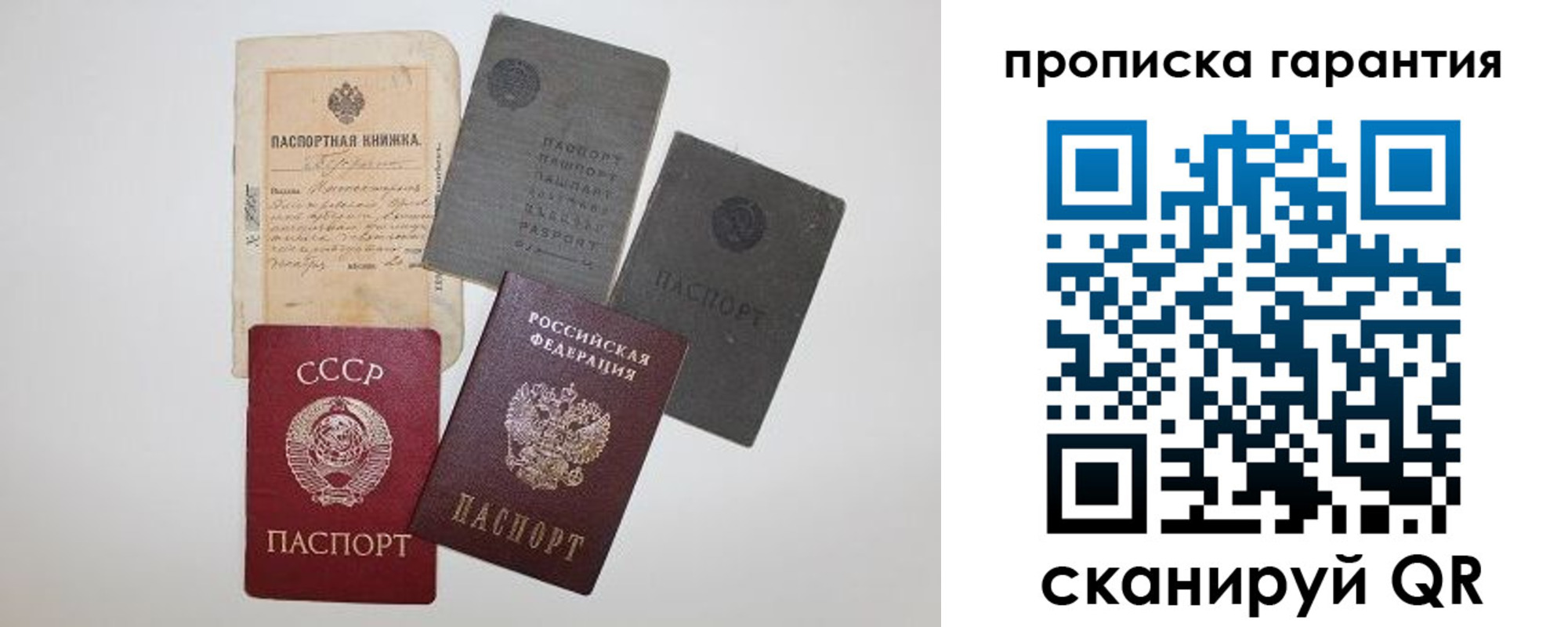 прописка 2025 в Ногинске